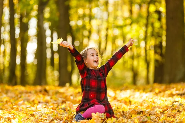 Kleines Mädchen Sammelt Herbstliches Laub — Stockfoto