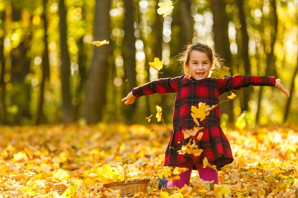 Маленька Дівчинка Збирає Опале Осіннє Листя — стокове фото