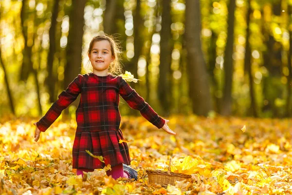 Весёлый Ребёнок Веселится Подбрасывая Жёлтые Листья — стоковое фото