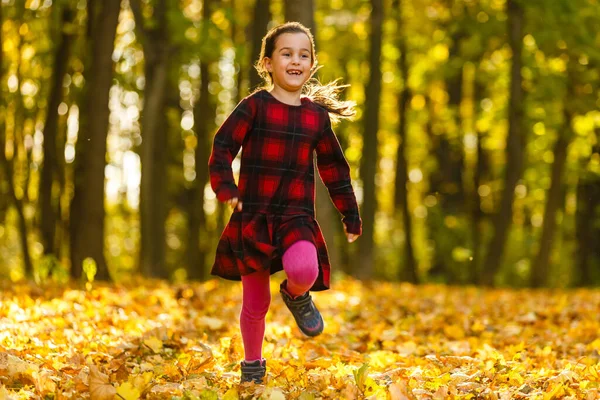 Милая Девочка Осеннем Лесу — стоковое фото