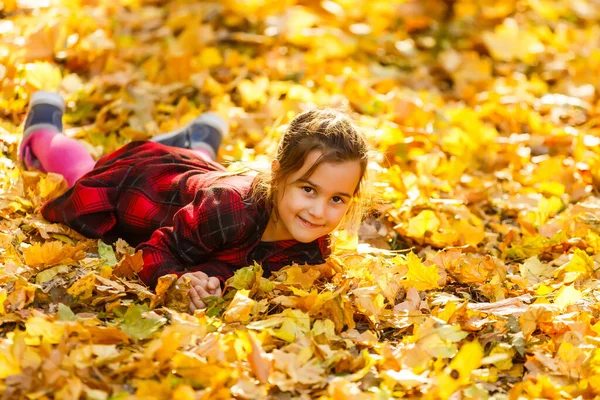 Piękna Dziewczynka Jesiennymi Liśćmi Zewnątrz Obrazy Stockowe bez tantiem