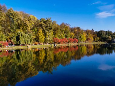 Gölü kaplayan sonbahar yeşillikleri. Kırmızı ve sarı renkli güzel ağaçlar..