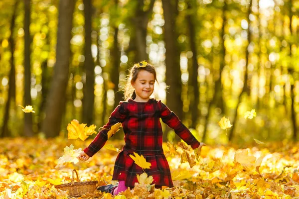 Маленька Дівчинка Збирає Опале Осіннє Листя — стокове фото