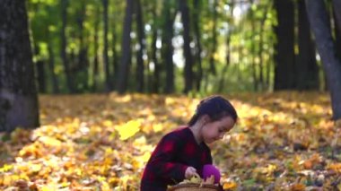 Küçük kız sonbahar ormanında tüy döküyor.