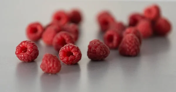 Red Raspberry Fruit Gray Background Chocolate — Stock Photo, Image