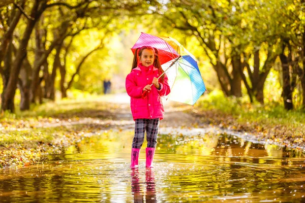 Очаровательная Малышка Красочным Зонтиком Открытым Небом Осенний Дождливый День — стоковое фото