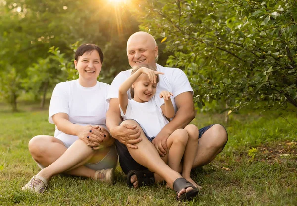 Mutlu Aile Güneşli Bir Günde Parkta Eğleniyor — Stok fotoğraf