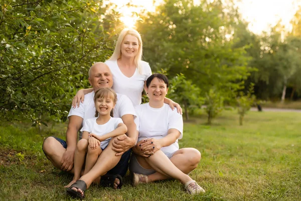 Portrait Famille Élargie Joyeuse Assise Dans Parc — Photo