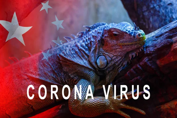 Concept Image Chameleon Corona Virus Medical Concept — Stock Photo, Image