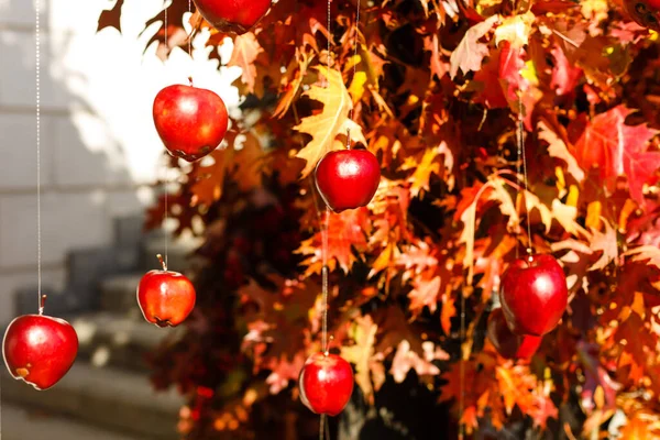 Autumn Still Life photo zone decor Ukraine viburnum tree apples barrel wheel hay basket Red Orange Fall