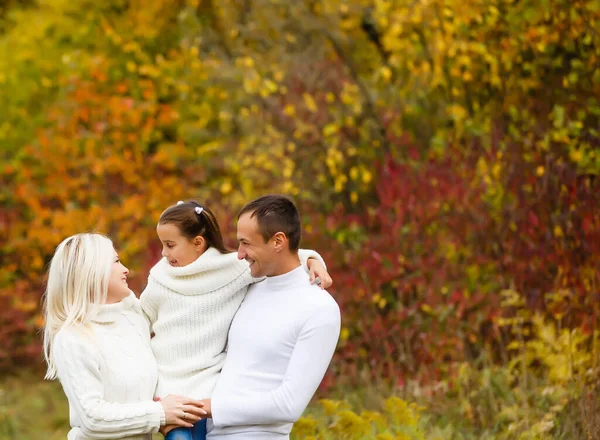 Aile Çocukluk Sezon Insanlar Sonbahar Parkında Mutlu Aile — Stok fotoğraf