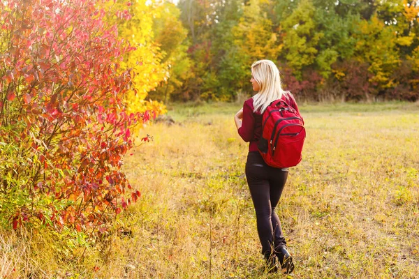 Collection Beautiful Colorful Autumn Leaves Green Yellow Orange Red — Stock Photo, Image