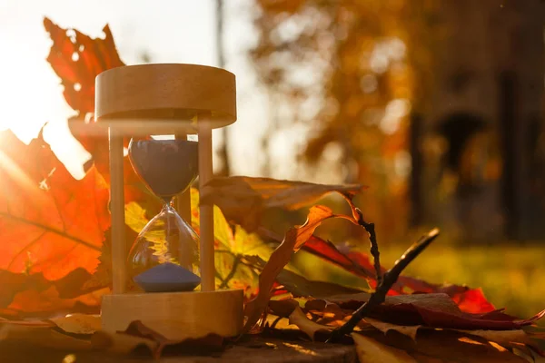 Autumn Time Theme Sandglass Fallen Leaves Various Colors Copy Space — Stock Photo, Image