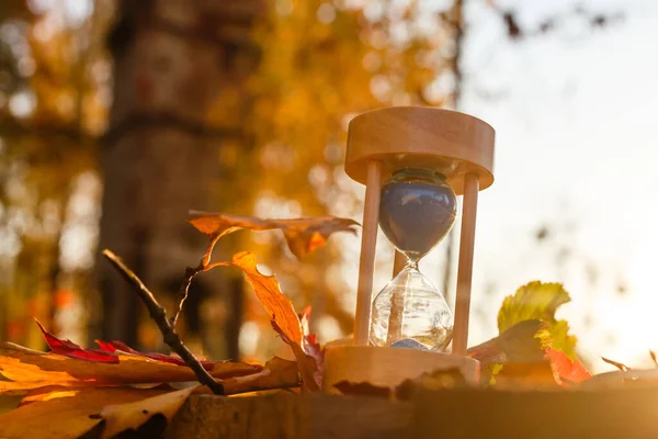 Φθινόπωρο Θέμα Ώρα Sandglass Πεσμένα Φύλλα Διάφορα Χρώματα Αντίγραφο Χώρο — Φωτογραφία Αρχείου