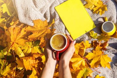 Sıcak çikolata ve sonbahar yaprakları