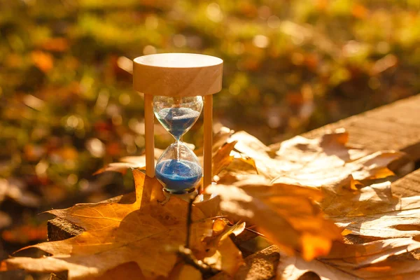 Φθινόπωρο Θέμα Ώρα Sandglass Πεσμένα Φύλλα Διάφορα Χρώματα Αντίγραφο Χώρο — Φωτογραφία Αρχείου