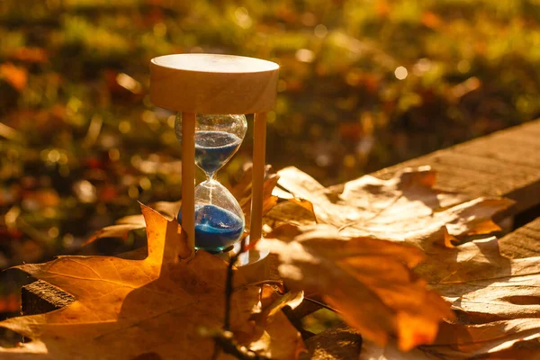 Φθινόπωρο Θέμα Ώρα Sandglass Πεσμένα Φύλλα Διάφορα Χρώματα Αντίγραφο Χώρο — Φωτογραφία Αρχείου