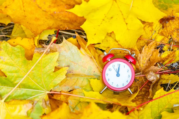 Ρολόγια Και Φύλλα Φθινόπωρο Ώρες Του Φθινοπώρου — Φωτογραφία Αρχείου