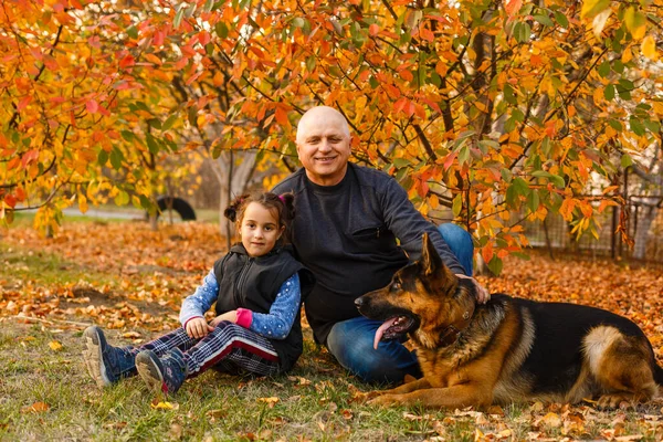 Büyükbaba Torun Köpek Sarı Yapraklar Sonbahar — Stok fotoğraf