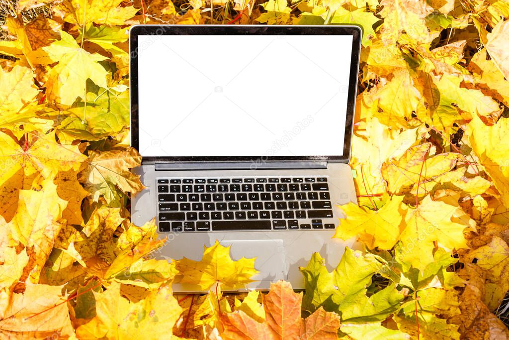 laptop in yellow leaves, top view. Golden autumn background