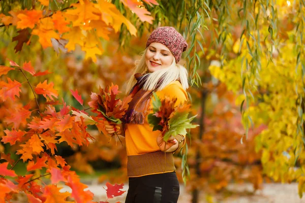 Junge Frau Mit Herbstblättern Der Hand Und Herbst Gelben Ahorn — Stockfoto