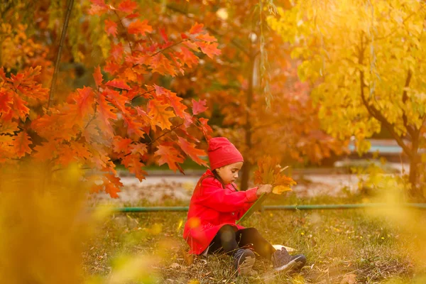 在明媚的秋日 可爱的小女生在户外学习 年轻的学生在做作业 幼儿的教育 回到学校的概念 — 图库照片