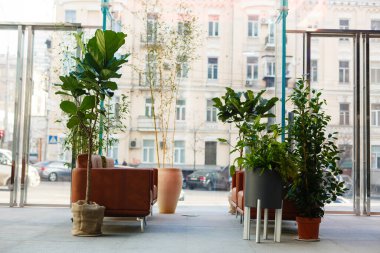 Pencerenin yanındaki bina.