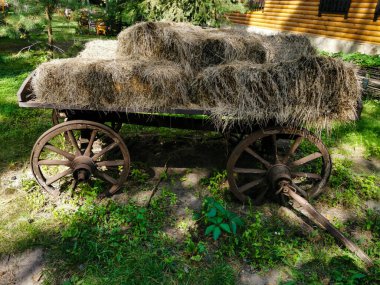 Çimlerin üzerine park edilmiş bir bisiklet.