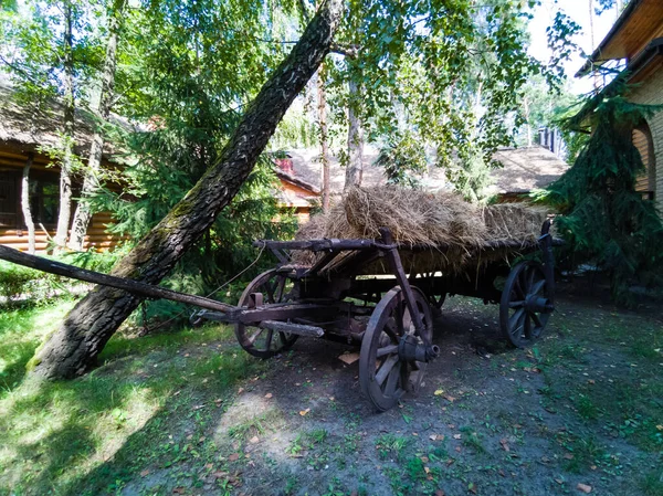 Um close de uma carruagem puxada a cavalo na frente de uma árvore — Fotografia de Stock