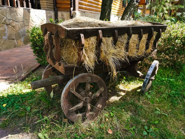 Eine Nahaufnahme eines Gartens — Stockfoto