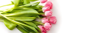 Pembe laleler beyaz bir masada, renkli kalemlerin yanında.