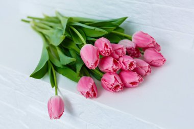 Beyaz arka planda pembe laleler.