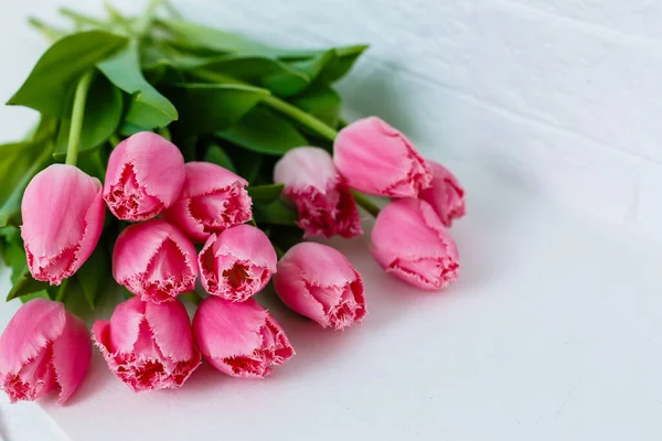 Beyaz arka planda pembe laleler.