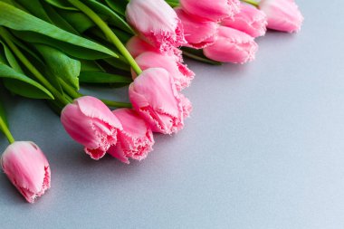 Gri arka planda pembe lale çiçekleri vardı..