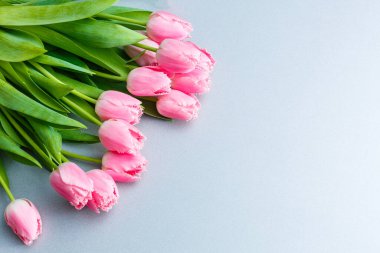 Beyaz arka plana karşı bir demet pembe lale.