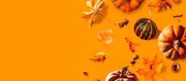 Balkabaklı sonbahar sahnesi, Cadılar Bayramı veya Şükran Günü arka planı, kopyalama alanı