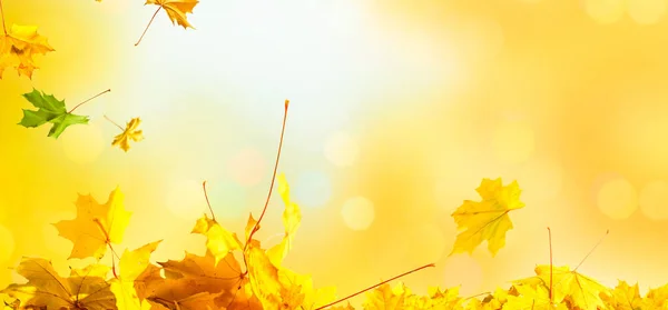 Autumn Fall Flat Lay Top View Creative Pattern Arrangement — Stock Photo, Image