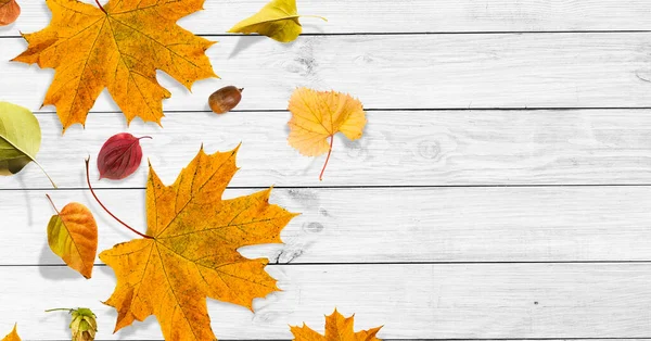 Hojas Otoño Sobre Fondo Madera Con Espacio Para Copiar — Foto de Stock