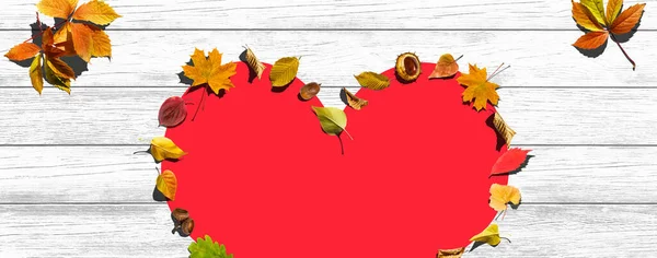 秋のファッション ヴィンテージ カエデの葉 秋に到着 最小限 バニラパステルの背景 デザインアートコンセプト クリエイティブスイートスタイル — ストック写真