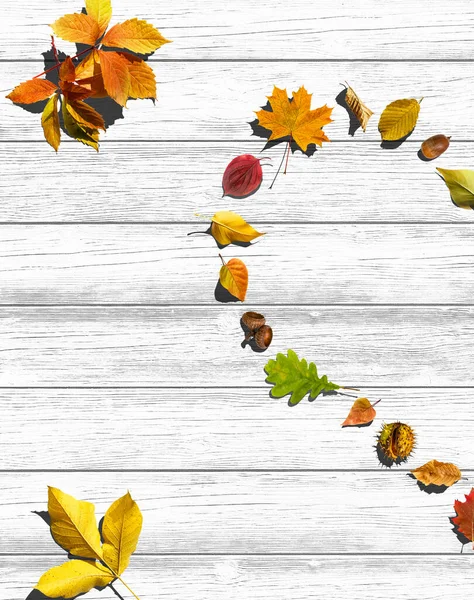 Herfst Bladeren Houten Achtergrond Met Kopieerruimte — Stockfoto