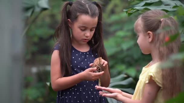 Cerrar Chica Joven Sonriendo Mirando Mariposa Monarca Dedo — Vídeo de stock