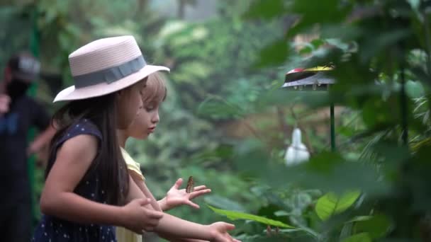 Zblízka Mladá Dívka Úsměvem Při Pohledu Motýla Monarcha Prst — Stock video
