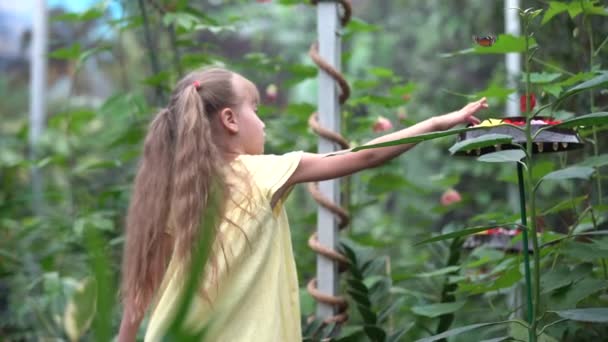 Niño Siete Años Con Mariposa Dedo — Vídeo de stock