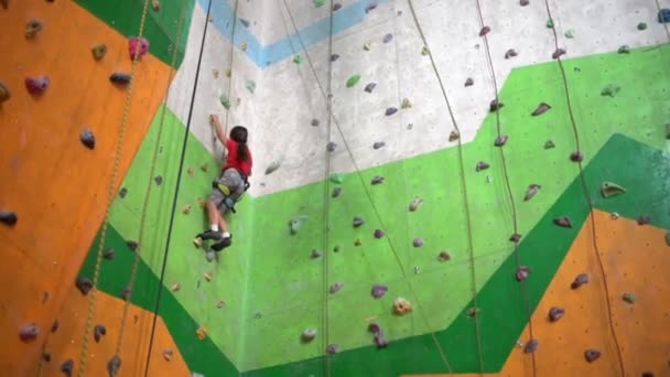 Little Girl Climbs Wall Bouldering Gym — Stock Video