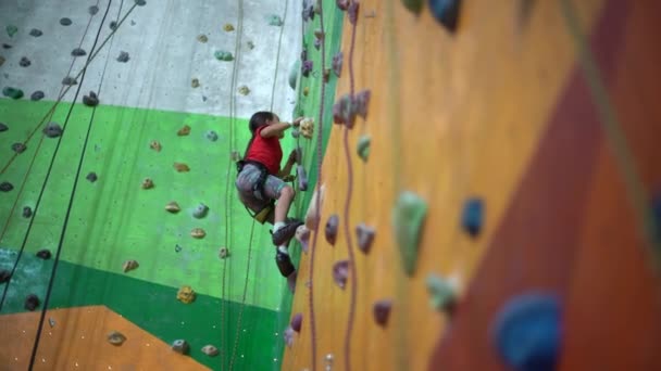 Ein Kleines Mädchen Klettert Einer Boulderhalle Die Wand Hinauf — Stockvideo