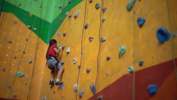 Una Ragazzina Arrampica Sul Muro Una Palestra Boulder — Video Stock