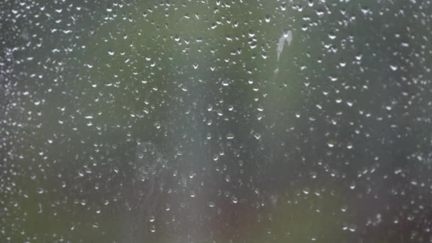 Regn Genom Fönstret Regndroppar Som Rinner Ner Fönsterytan Ingen — Stockvideo