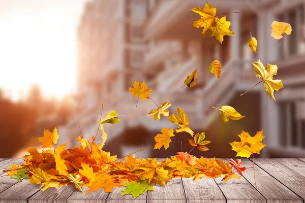 Cadre de bordure de feuilles d'automne colorées isolées sur blanc — Photo