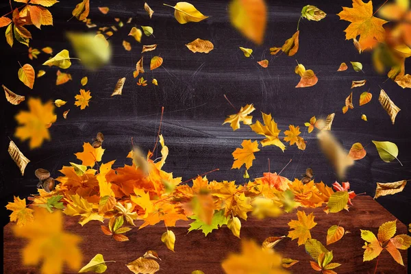 Jaune humide feuilles d'automne sur le fond un vieux bois sombre — Photo