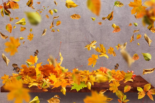 Composition d'automne. feuilles sur fond beige pastel. — Photo